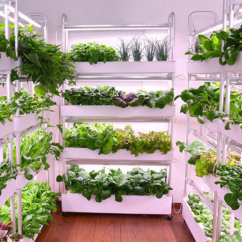 Smart Garden Box - Sistem Tumbuh Hidroponik Vertikal Pintar Dalam