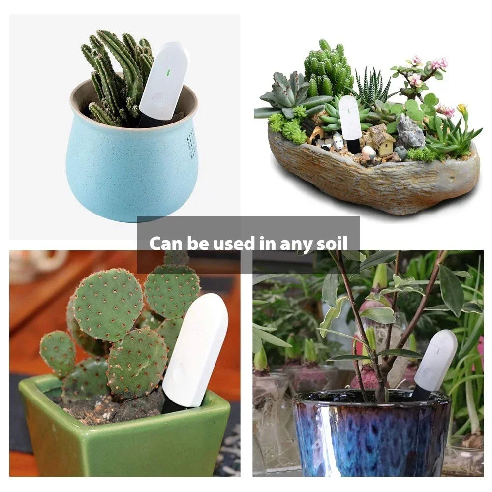 Alat Ukur Kelembapan Tanah Cer - Smart Garden Tools ulasan dan harga
