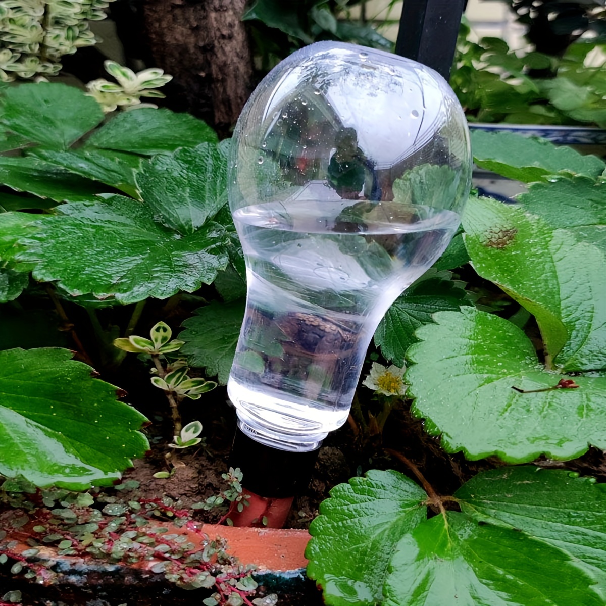 Alat penyiraman otomatis taman - Smart Garden Kit ulasan dan harga