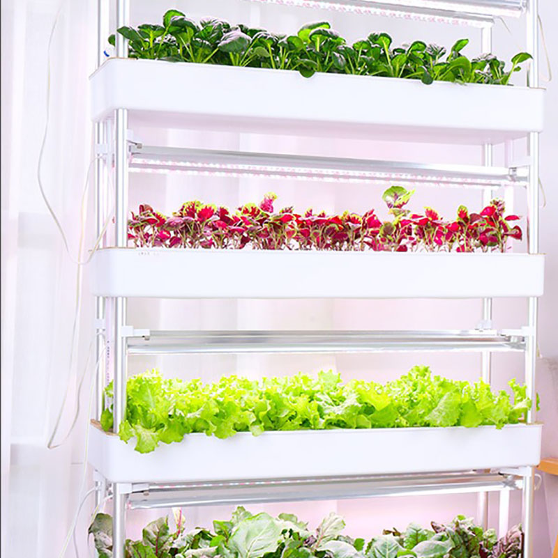 Sistem Tumbuh Hidroponik Verti - Smart Garden Box ulasan dan harga