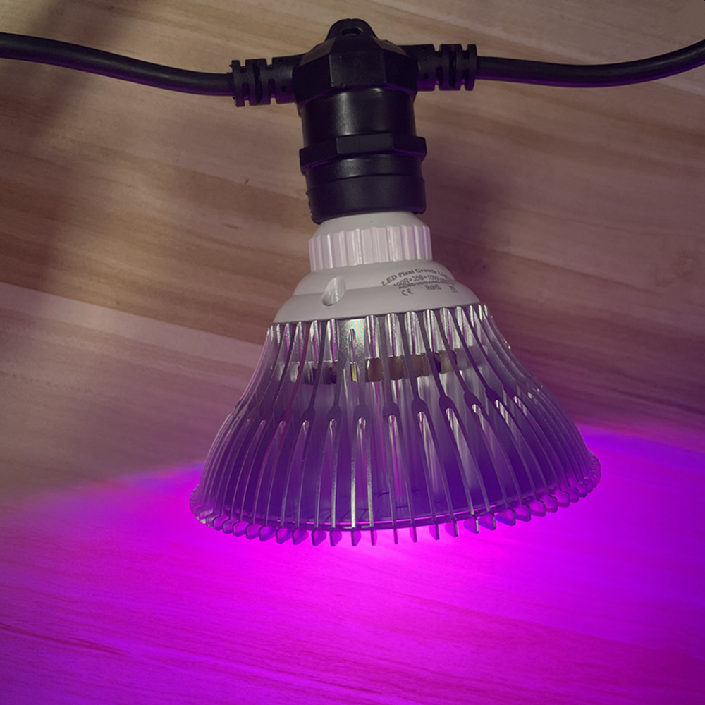 Kabel LED 10M Kelas Komersial  - Smart Garden Lamp ulasan dan harga