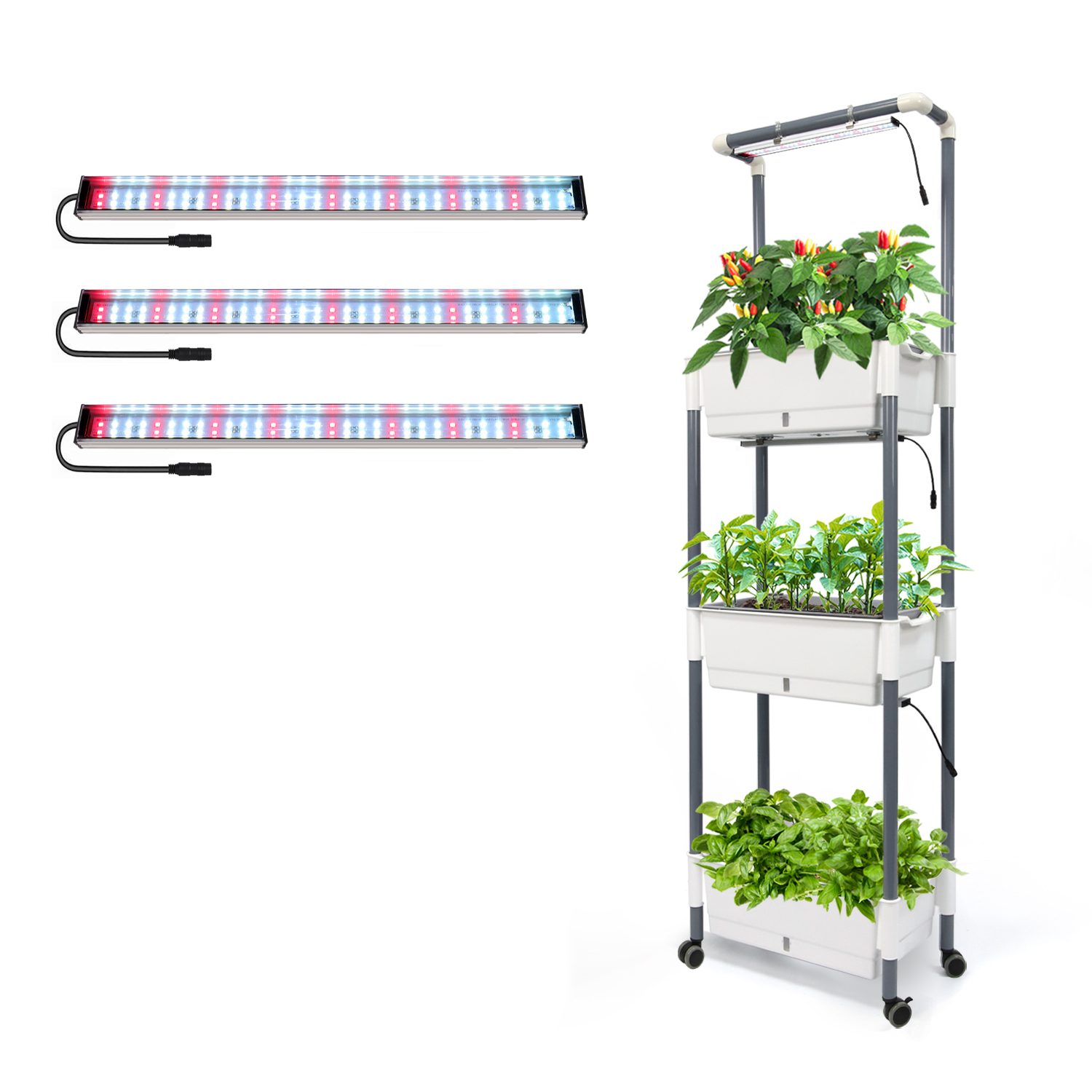 Rak Penanam Tanaman 3 Tingkat  - Smart Garden Box ulasan dan harga