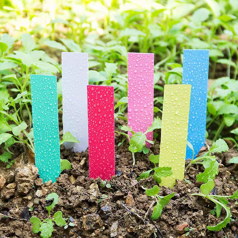 100 Buah Label Tanaman Kebun L - Garden Journal Planner ulasan dan harga