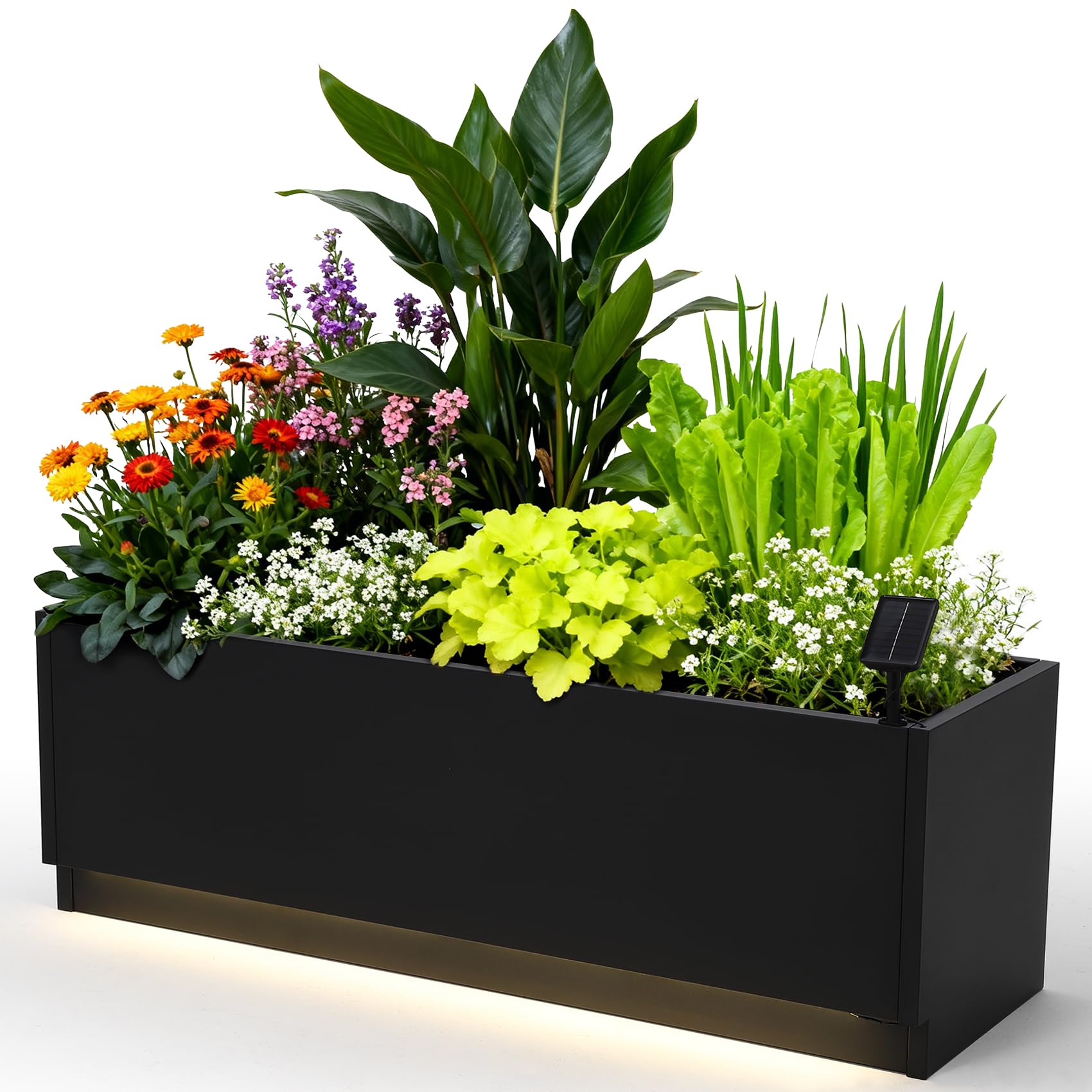 Kotak Penanam Tanaman Logam LE - Smart Garden Box ulasan dan harga
