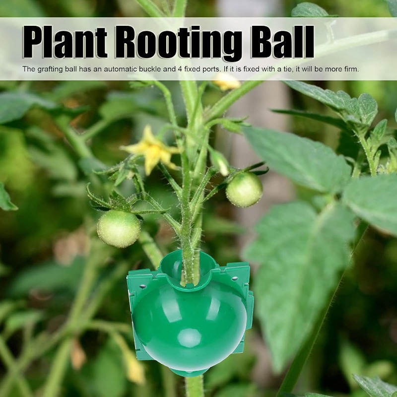 Bola Perakaran Tanaman yang Da - Smart Garden Box ulasan dan harga