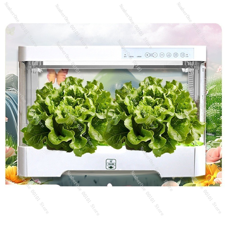 Sistem Penanaman Hidroponik Pi - Smart Garden Box ulasan dan harga