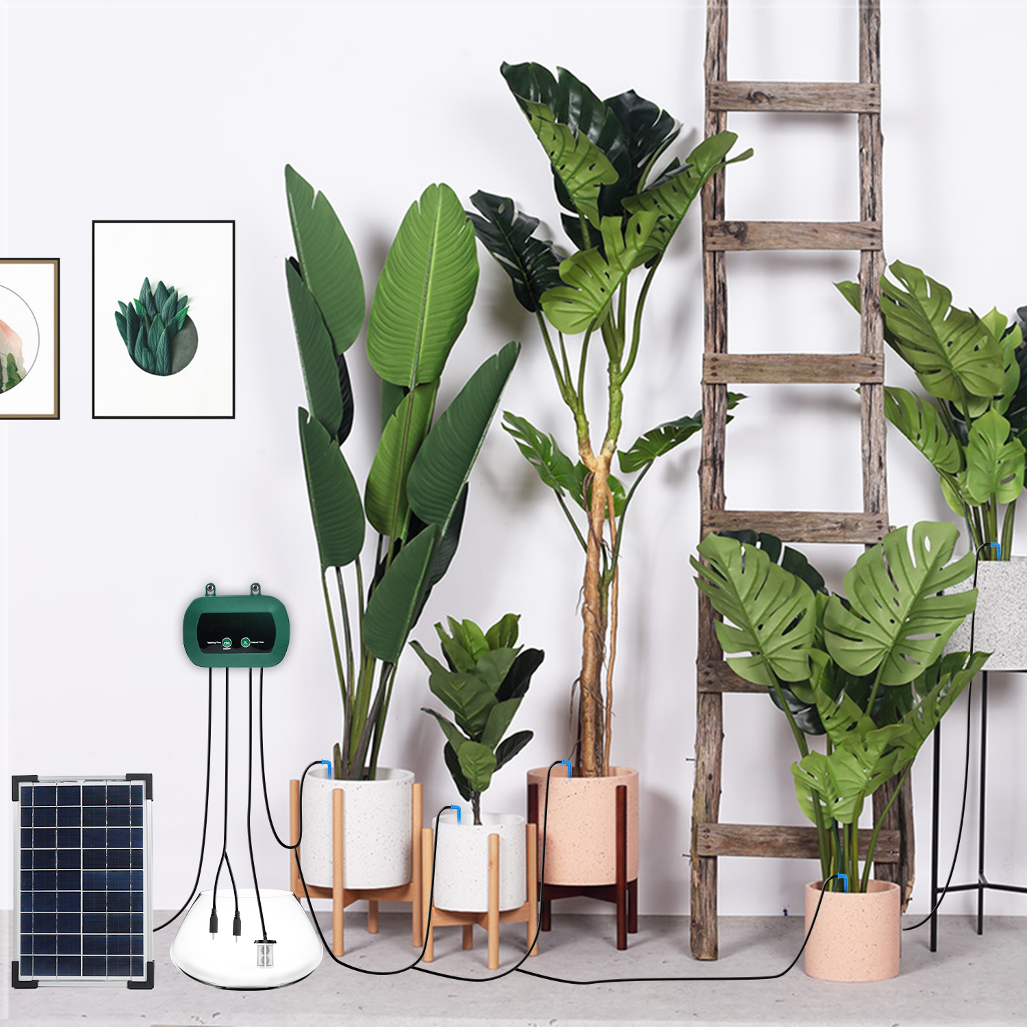 Peralatan Hidroponik Tenaga Su - Smart Garden Kit ulasan dan harga